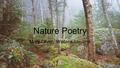 Nature Poetry Mary Oliver, Wallace Stevens. Mary Oliver Born 1935, in Maple Heights, Ohio.