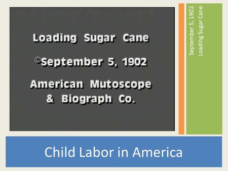 Child Labor in America September 5, 1902 Loading Sugar Cane.