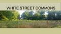 WHITE STREET COMMONS Imagine an Urban Kibbutz. 1.36 acres of open land in theWest End.