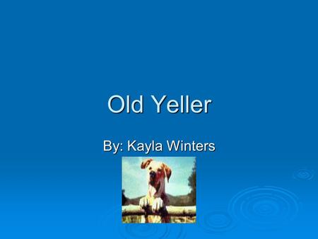 Old Yeller By: Kayla Winters Authors Biography  Fred Gipson was born February 7,1908.And he was an American author. He is best known for writing the.