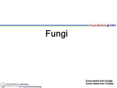 KMU Fungi Some photos from Google Some videos from Youtube.