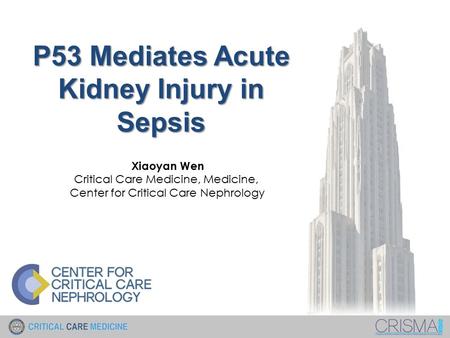 Xiaoyan Wen Critical Care Medicine, Medicine, Center for Critical Care Nephrology P53 Mediates Acute Kidney Injury in Sepsis.