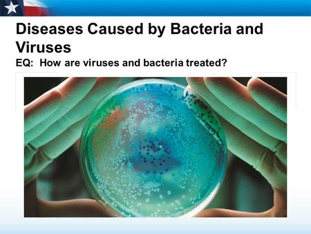 Diseases Caused by Bacteria and Viruses EQ: How are viruses and bacteria treated?