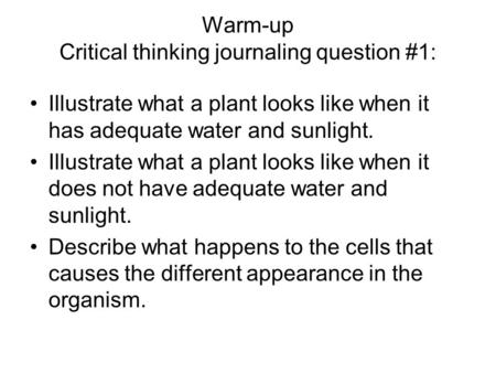 Warm-up Critical thinking journaling question #1: Illustrate what a plant looks like when it has adequate water and sunlight. Illustrate what a plant looks.