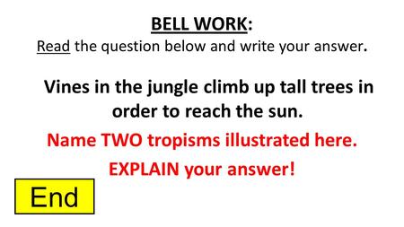 BELL WORK: Read the question below and write your answer. Vines in the jungle climb up tall trees in order to reach the sun. Name TWO tropisms illustrated.