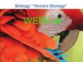 Lesson Overview Lesson Overview What is Ecology? Biology * Honors Biology* WEEK 19.