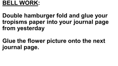 BELL WORK: Double hamburger fold and glue your tropisms paper into your journal page from yesterday Glue the flower picture onto the next journal page.