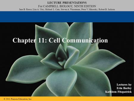 LECTURE PRESENTATIONS For CAMPBELL BIOLOGY, NINTH EDITION Jane B. Reece, Lisa A. Urry, Michael L. Cain, Steven A. Wasserman, Peter V. Minorsky, Robert.