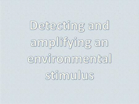 Cell Signaling In order to respond to changes in their immediate environment, cells must be able to receive and process signals that originate outside.