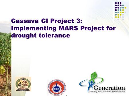 Cassava CI Project 3: Implementing MARS Project for drought tolerance.