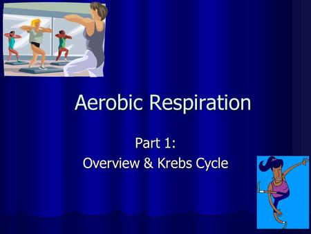 Aerobic Respiration Part 1: Overview & Krebs Cycle.