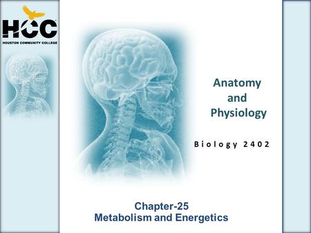 Anatomy and Physiology