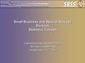 Small Business and Special Surveys Division Statistics Canada Entrepreneurship Indicators Project Steering Group Meeting Istanbul June 25-27, 2007.