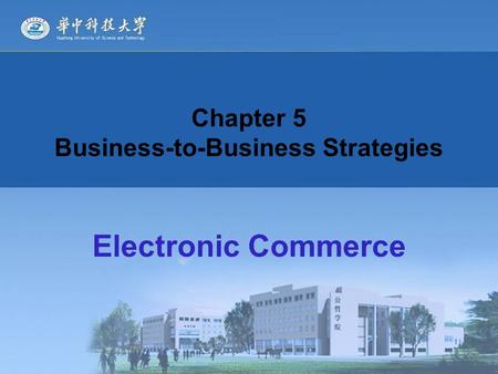 Chapter 5 Business-to-Business Strategies Electronic Commerce.