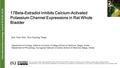 Interna tional Neurourology Journal 2016;20:18-25 17Beta-Estradiol Inhibits Calcium-Activated Potassium Channel Expressions in Rat Whole Bladder Duk Yoon.