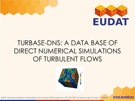 Www.eudat.eu EUDAT receives funding from the European Union's Horizon 2020 programme - DG CONNECT e-Infrastructures. Contract No. 654065 TURBASE-DNS: A.