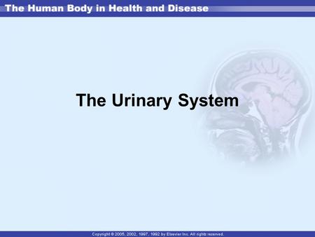 The Urinary System. Structures Kidneys Ureters Bladder Urethra.