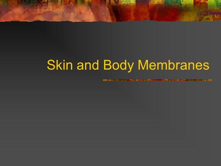 Skin and Body Membranes. Epithelial Membranes Cutaneous Membrane Skin Dry Membrane Mucous Membrane Line cavities that open to exterior “wet” membranes.