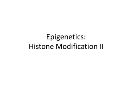 Epigenetics: Histone Modification II