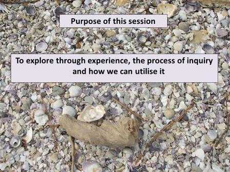 To explore through experience, the process of inquiry and how we can utilise it Purpose of this session.