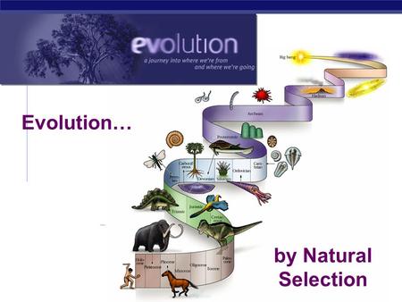 Regents Biology 2006-2007 by Natural Selection Evolution…