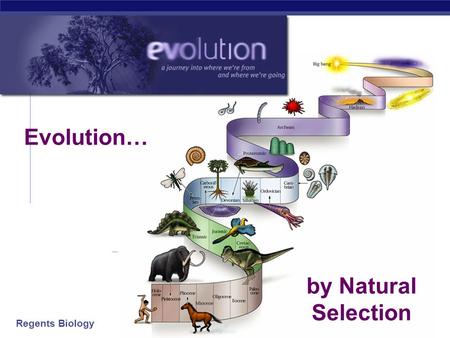 Regents Biology 2006-2007 by Natural Selection Evolution…