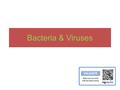 Bacteria & Viruses. What are the characteristics of viruses? Bacteria? What kingdom do each of these belong? Are they living? Why or why not ?