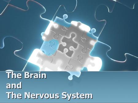 The Brain and The Nervous System. Brain Facts The brain weighs 3 pounds. The brain consumes 20-30% of the body’s energy. There are about 100 billion neurons.