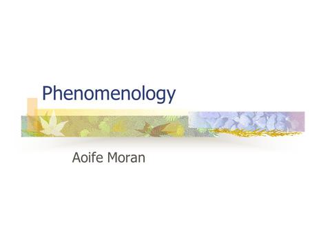 Phenomenology Aoife Moran.