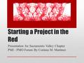 Starting a Project in the Red Presentation for Sacramento Valley Chapter PMI - PMO Forum By Corinna M. Martinez.