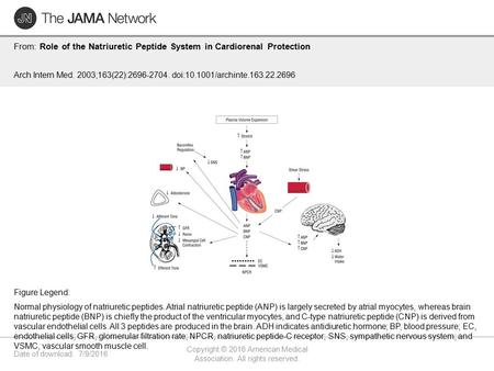 Date of download: 7/9/2016 Copyright © 2016 American Medical Association. All rights reserved. From: Role of the Natriuretic Peptide System in Cardiorenal.