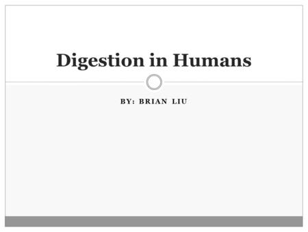 BY: BRIAN LIU Digestion in Humans. Human Digestive System The human digestive system does activities such as: ingestion, digestion, absorption, respiration,