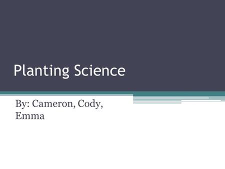 Planting Science By: Cameron, Cody, Emma. Research Question? How much difference of percentage of growth will there be between barley receiving no sunlight.