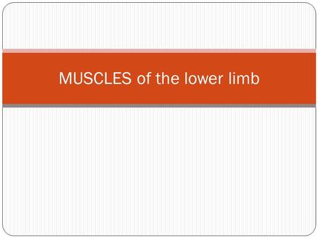 MUSCLES of the lower limb. Muscles in front of thigh Sartorius (running lateral to medial) Tensor fascia latae (lateral margin of thigh) Between the above.