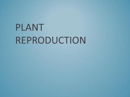 PLANT REPRODUCTION. This lesson will look again at seeds (briefly), why and how they are produced. It will also look at the other ways plants have of.