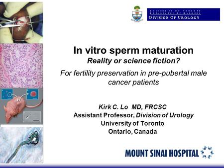 Kirk C. Lo MD, FRCSC Assistant Professor, Division of Urology University of Toronto Ontario, Canada In vitro sperm maturation Reality or science fiction?