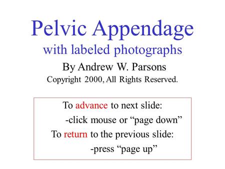 Pelvic Appendage with labeled photographs By Andrew W. Parsons Copyright 2000, All Rights Reserved. To advance to next slide: -click mouse or “page down”