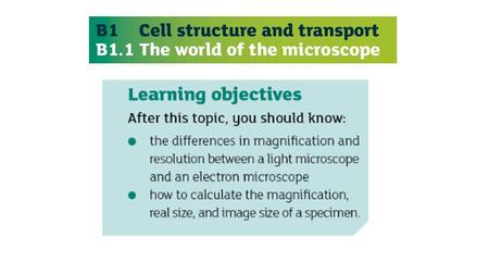 CONVERSION UNITS FOR MICROSCOPES NOW DO THE WORKSHEET ON SIZE AND SCALE.