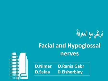 Facial and Hypoglossal nerves D.Nimer D.Rania Gabr D.Safaa D.Elsherbiny.