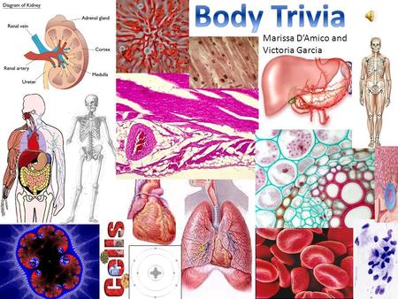 Marissa D’Amico and Victoria Garcia. Cells get oxygen when you breathe and the oxygen is carried through the bloodstream and then makes its way to the.