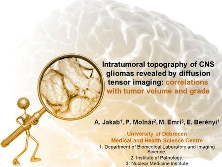 Intratumoral topography of CNS gliomas revealed by diffusion tensor imaging: correlations with tumor volume and grade A. Jakab 1, P. Molnár 2, M. Emri.