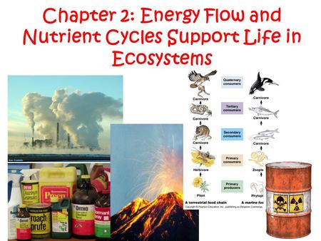 Chapter 2: Energy Flow and Nutrient Cycles Support Life in Ecosystems.