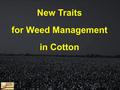 New Traits for Weed Management in Cotton.