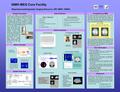 SAM Source Analysis SAM: Synthetic Aperture Magnetometry Optimum spatial filter for each voxel calculated from dual state time- domain covariance matrix.