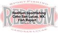 RedRum Sportfishing Cabo San Lucas, MX. Fish Report Monday, May 16 th – 22 nd.