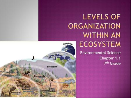 Environmental Science Chapter 1.1 7 th Grade.  Ecology: Study of the interactions of organisms with one another and with their environment.  Two Groups: