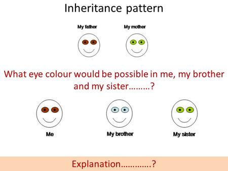 Inheritance pattern What eye colour would be possible in me, my brother and my sister………? Explanation………….?