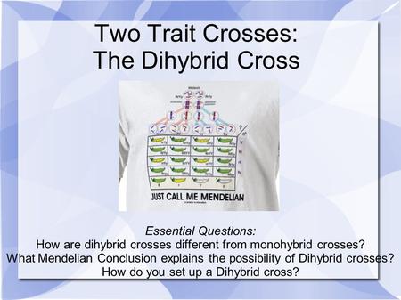 Two Trait Crosses: The Dihybrid Cross