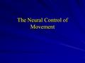 The Neural Control of Movement