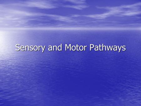 Sensory and Motor Pathways. Somatic Sensory Pathways The pathways consist of first-order, second-order, and third-order neurons The pathways consist of.